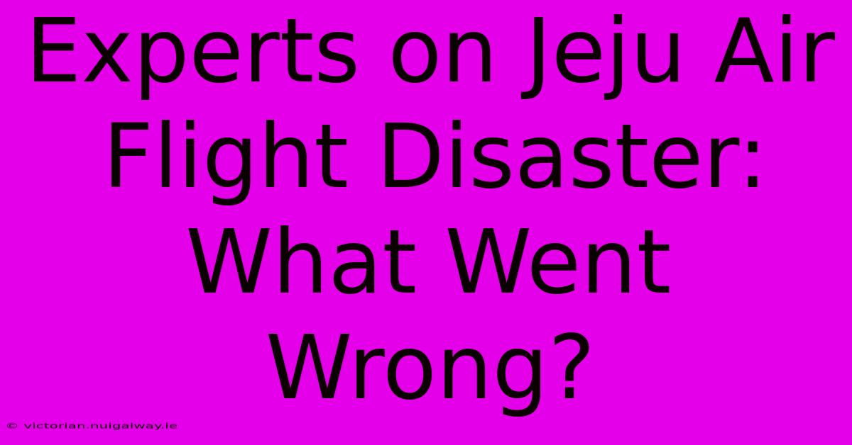 Experts On Jeju Air Flight Disaster: What Went Wrong?