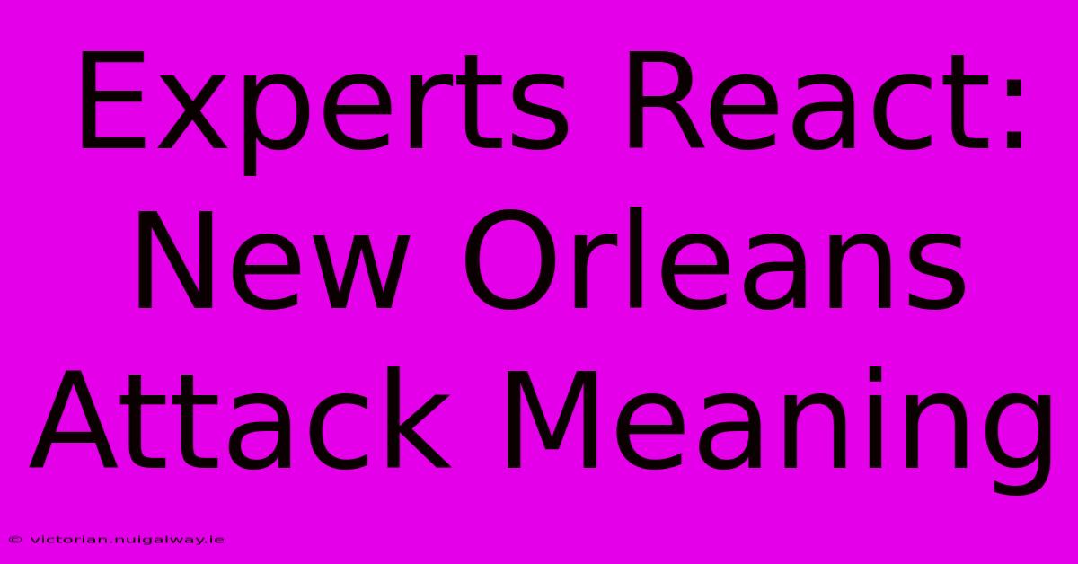 Experts React: New Orleans Attack Meaning