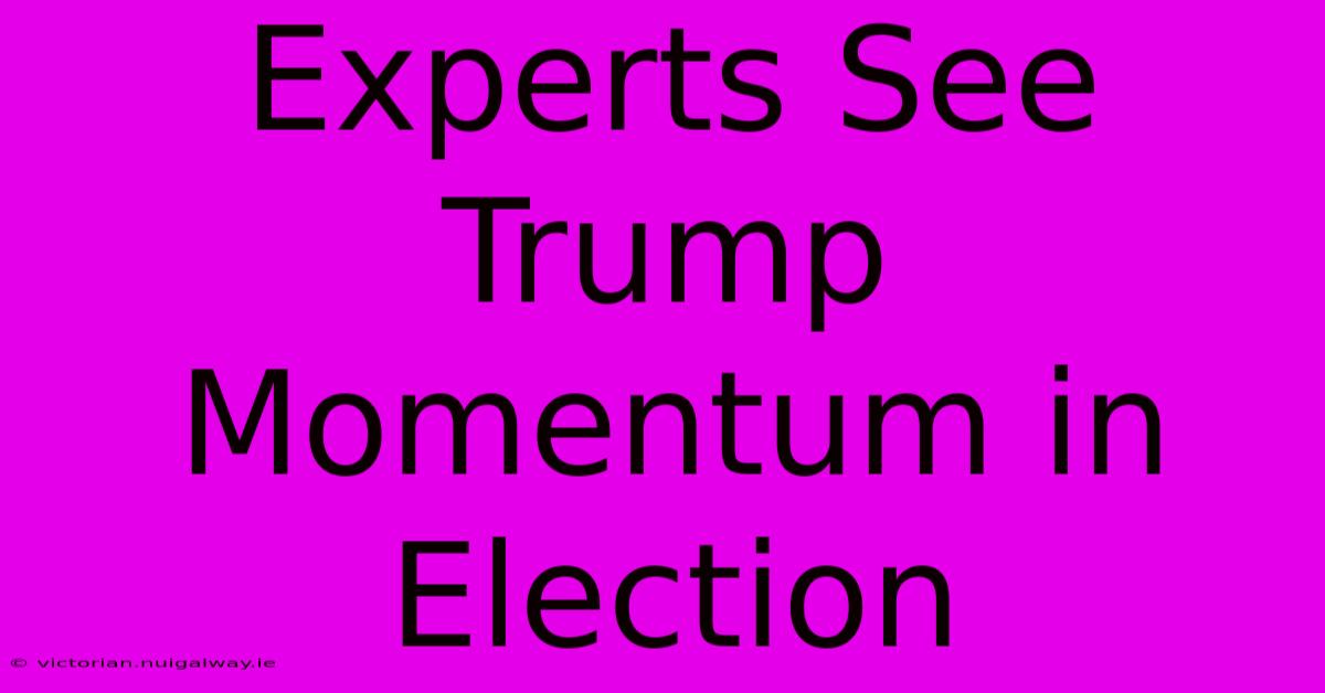 Experts See Trump Momentum In Election