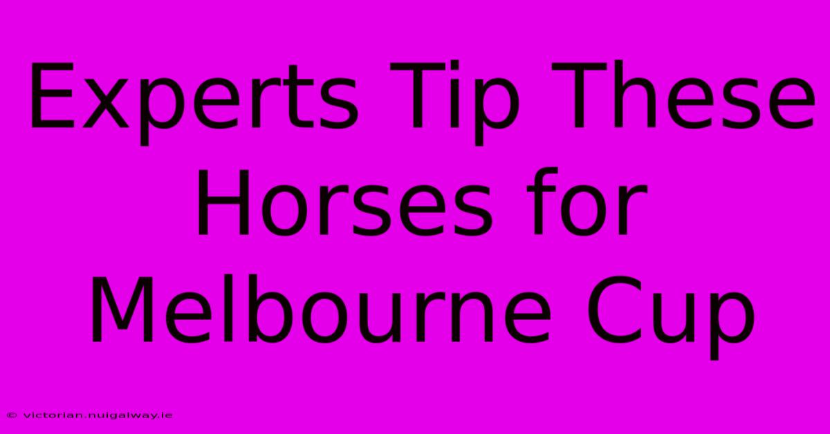 Experts Tip These Horses For Melbourne Cup