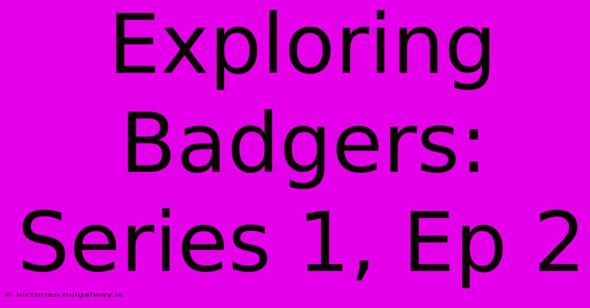 Exploring Badgers: Series 1, Ep 2