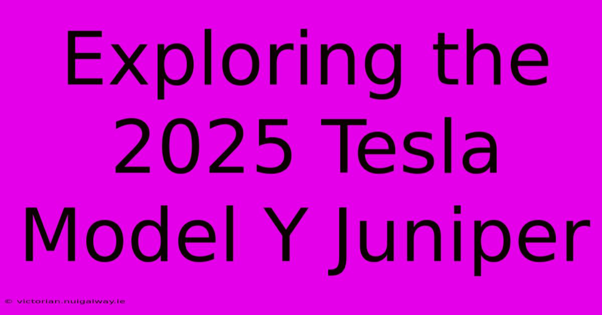 Exploring The 2025 Tesla Model Y Juniper