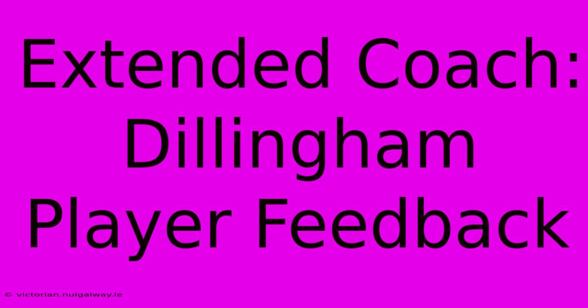 Extended Coach: Dillingham Player Feedback