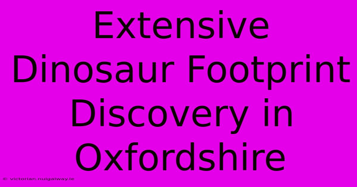 Extensive Dinosaur Footprint Discovery In Oxfordshire