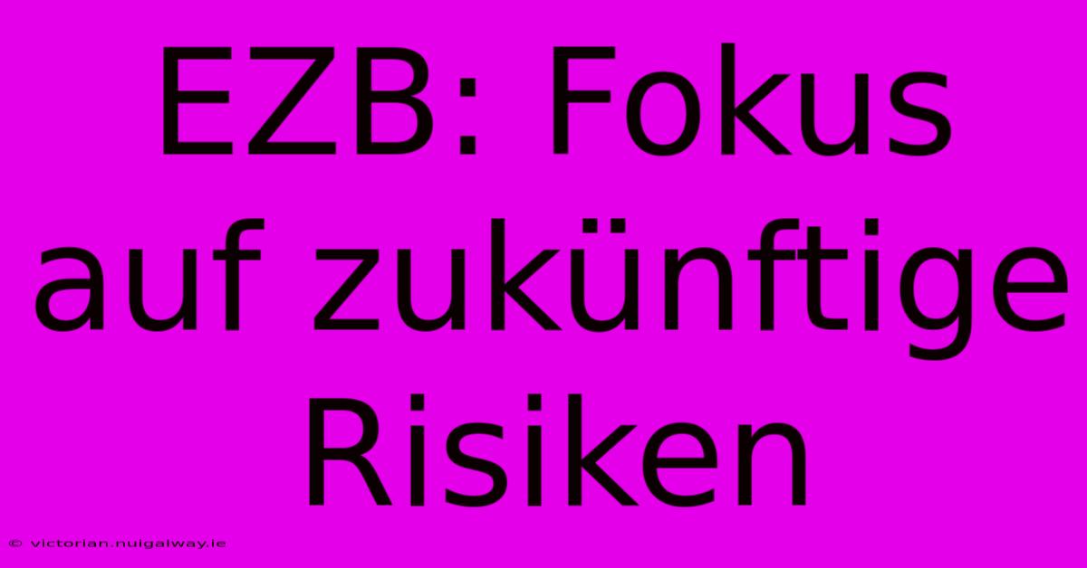 EZB: Fokus Auf Zukünftige Risiken