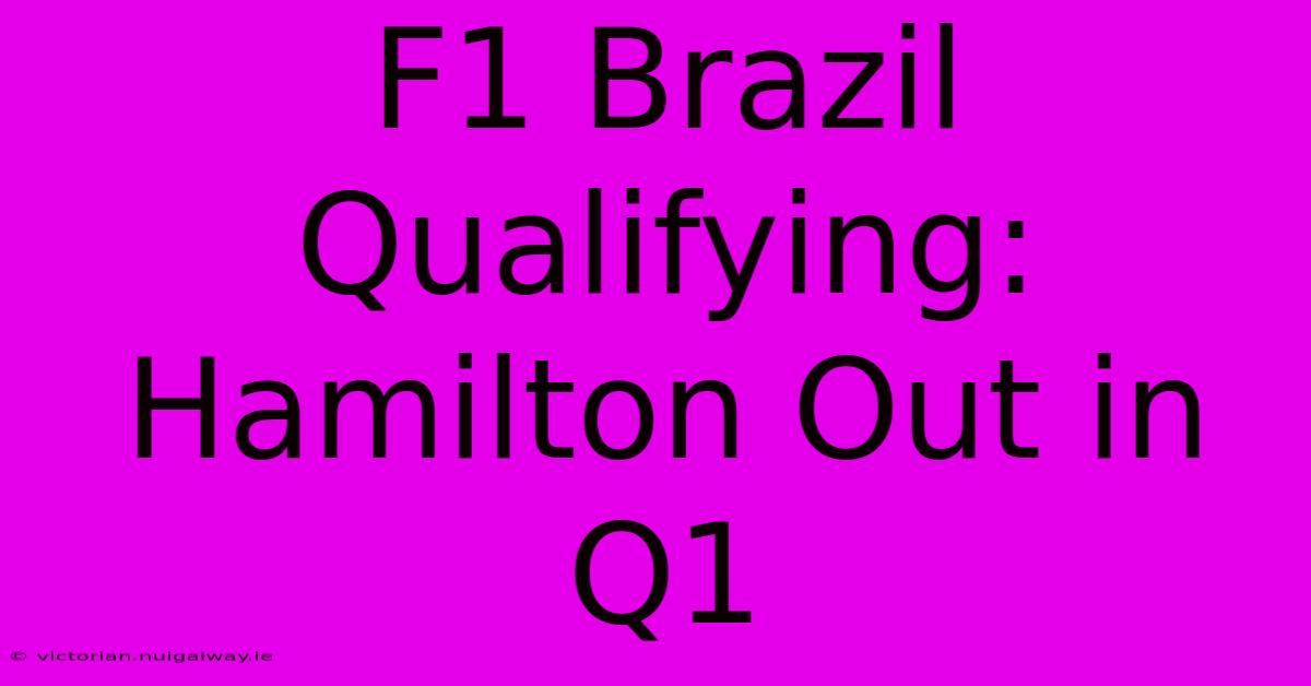 F1 Brazil Qualifying: Hamilton Out In Q1