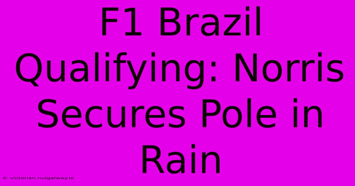 F1 Brazil Qualifying: Norris Secures Pole In Rain