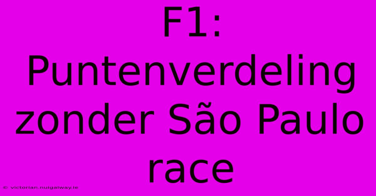 F1: Puntenverdeling Zonder São Paulo Race