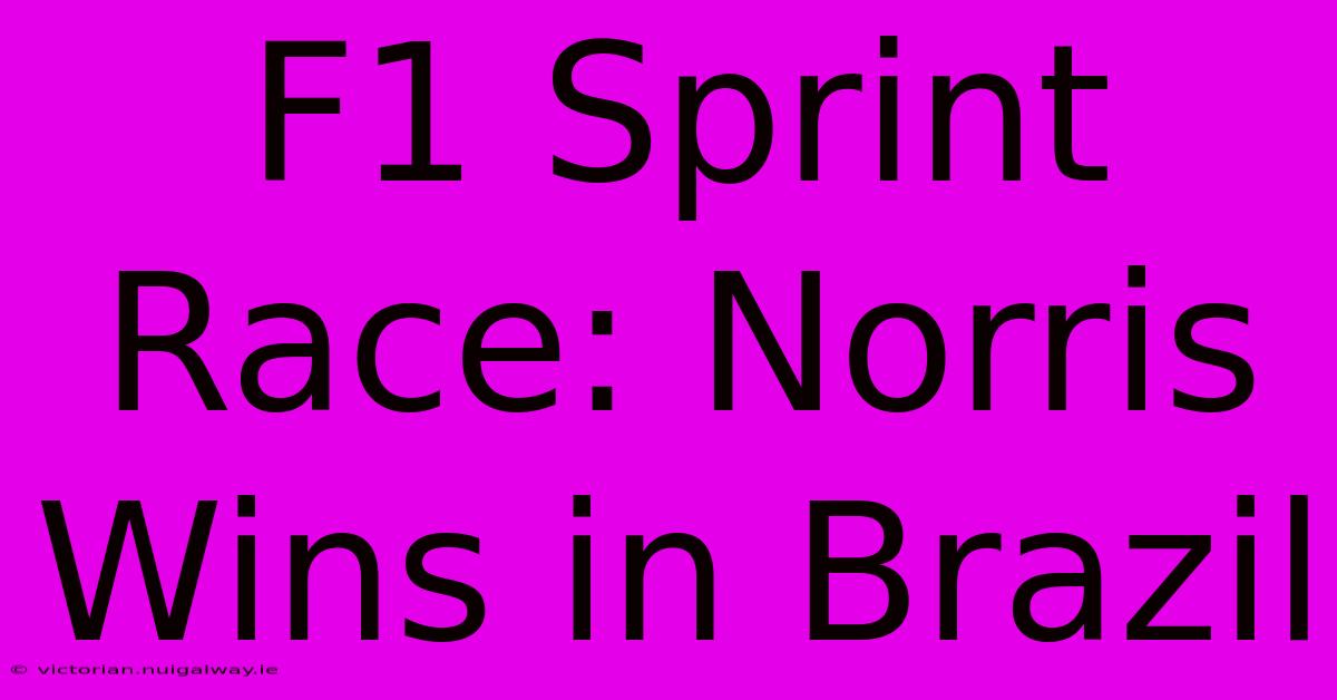 F1 Sprint Race: Norris Wins In Brazil 