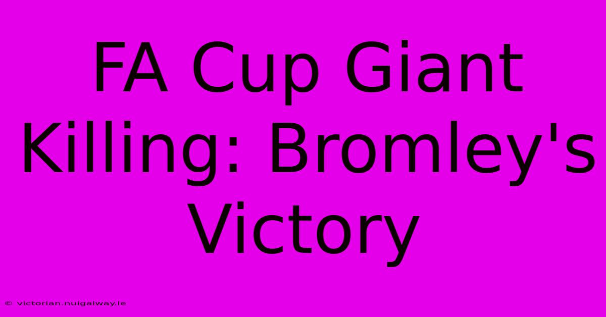 FA Cup Giant Killing: Bromley's Victory