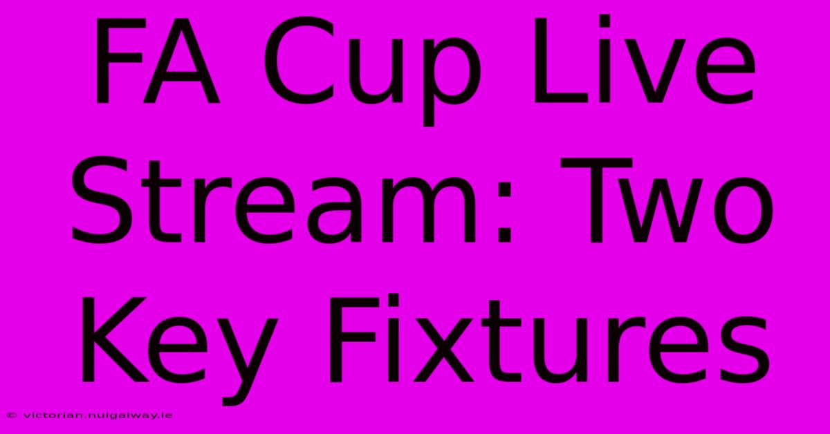 FA Cup Live Stream: Two Key Fixtures