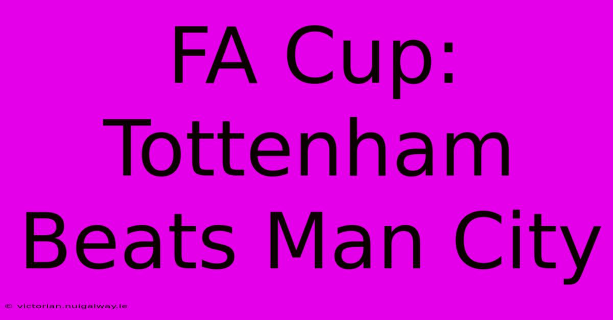 FA Cup: Tottenham Beats Man City