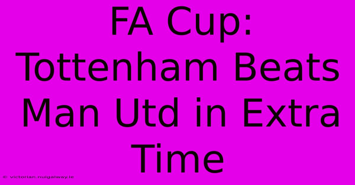 FA Cup: Tottenham Beats Man Utd In Extra Time