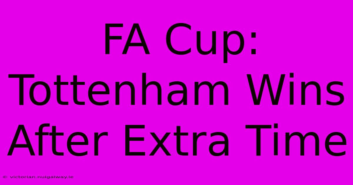 FA Cup: Tottenham Wins After Extra Time