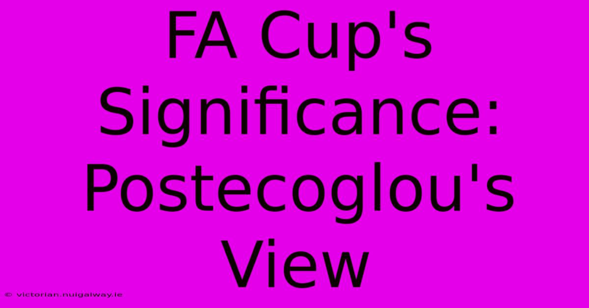 FA Cup's Significance: Postecoglou's View