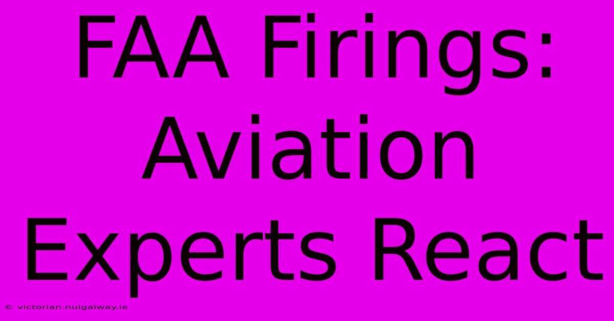 FAA Firings: Aviation Experts React