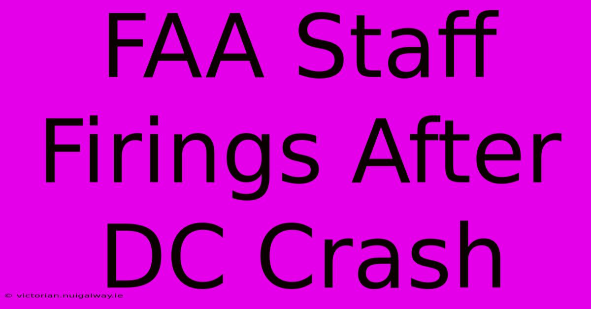 FAA Staff Firings After DC Crash