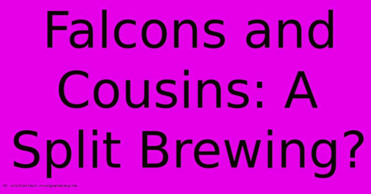 Falcons And Cousins: A Split Brewing?