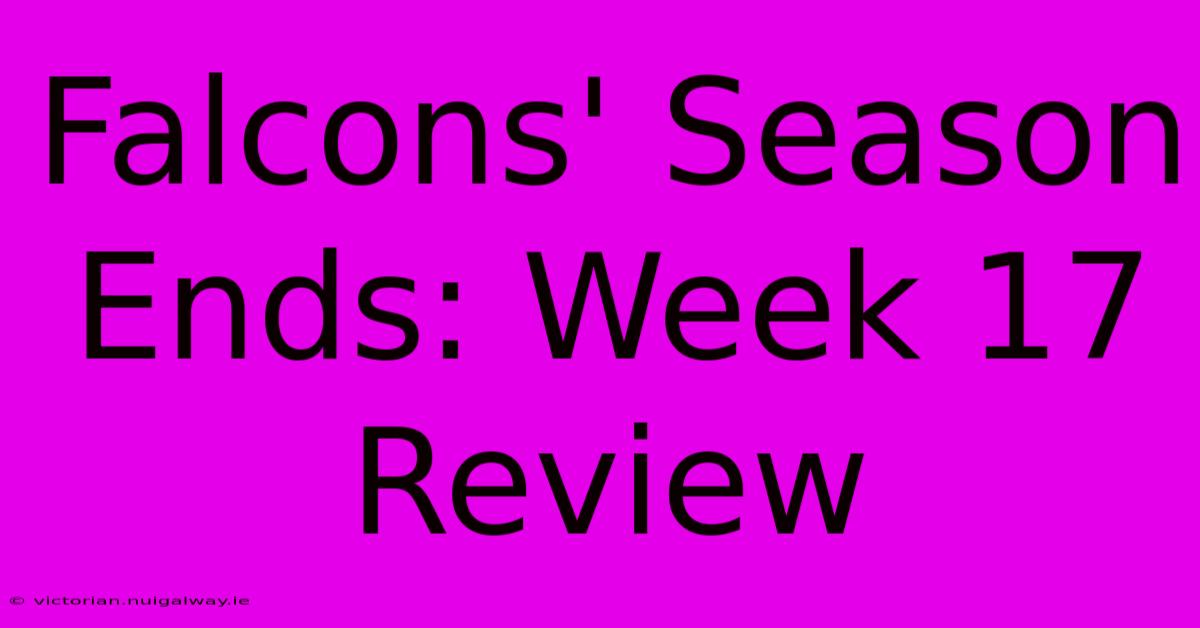 Falcons' Season Ends: Week 17 Review