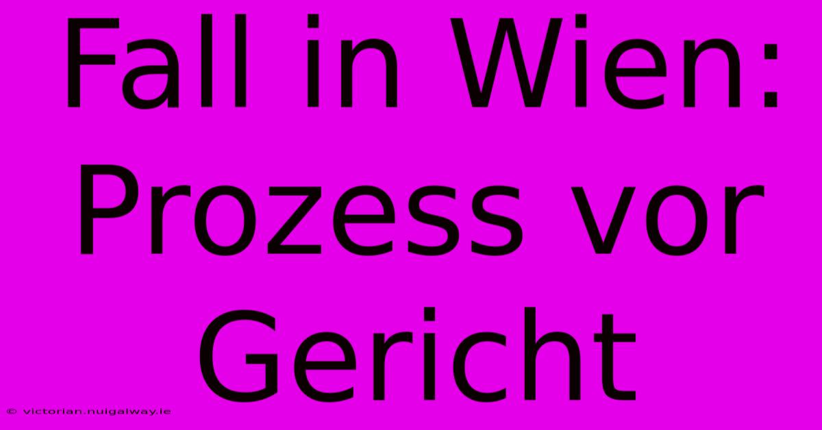 Fall In Wien: Prozess Vor Gericht