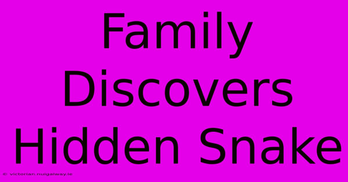 Family Discovers Hidden Snake