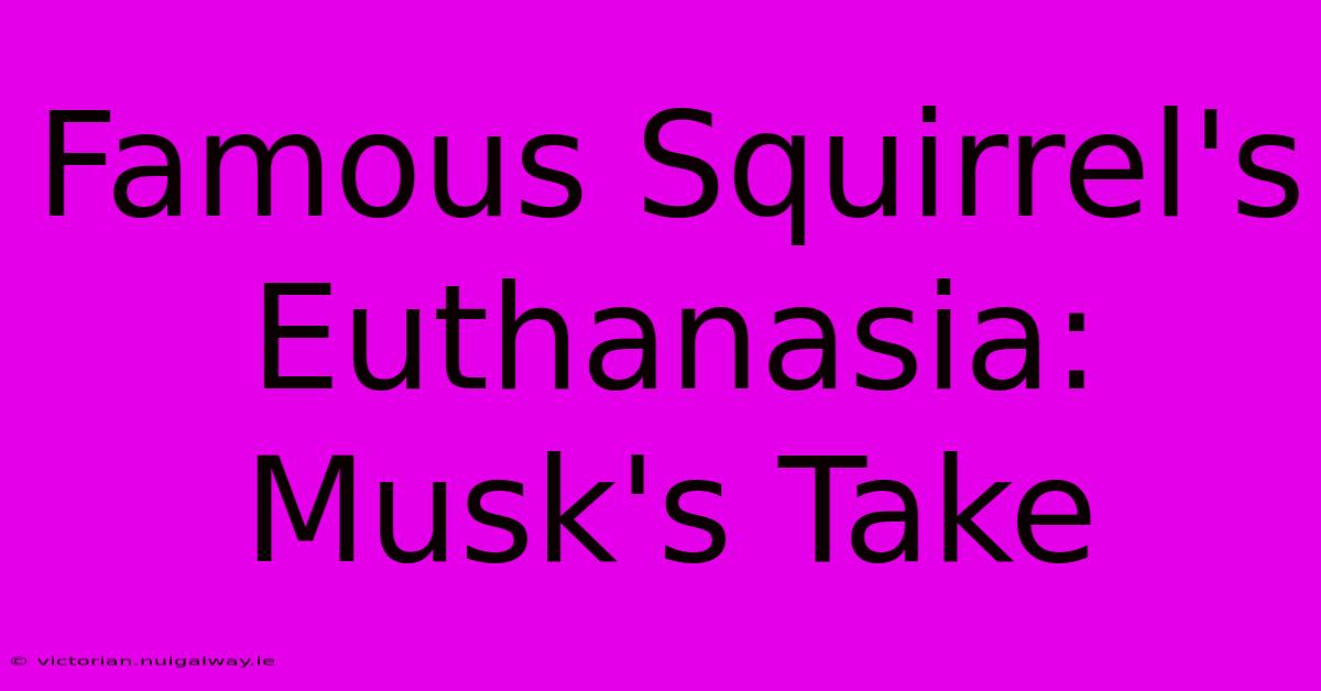 Famous Squirrel's Euthanasia: Musk's Take 