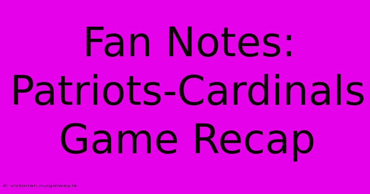 Fan Notes: Patriots-Cardinals Game Recap