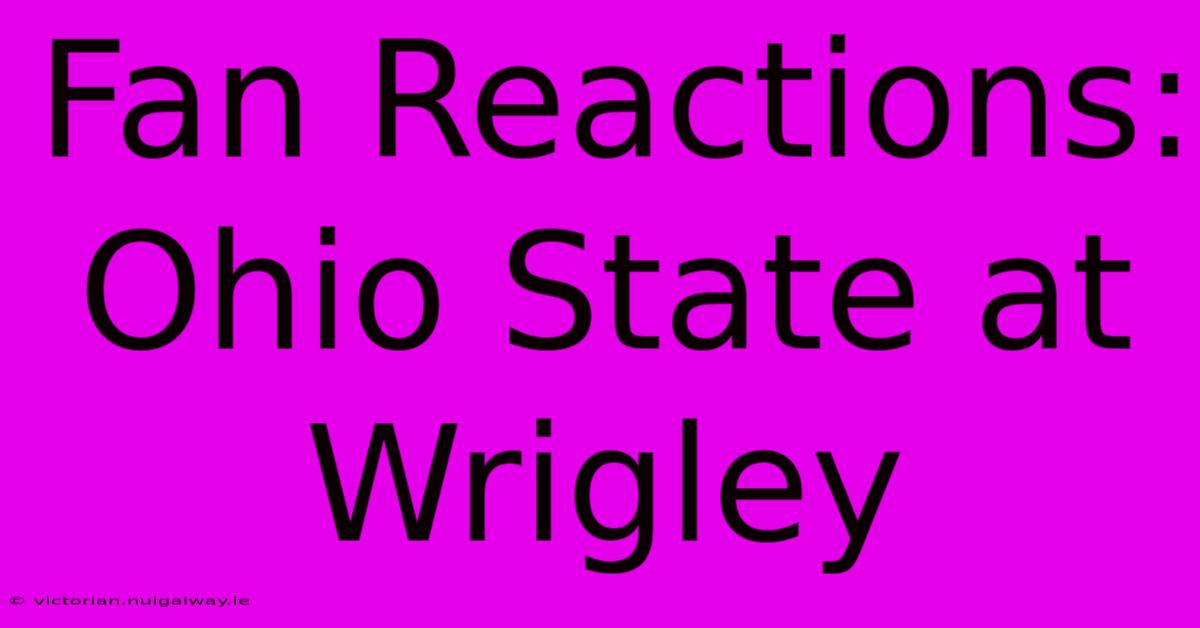 Fan Reactions: Ohio State At Wrigley