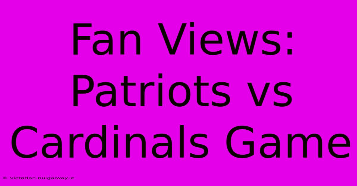 Fan Views: Patriots Vs Cardinals Game