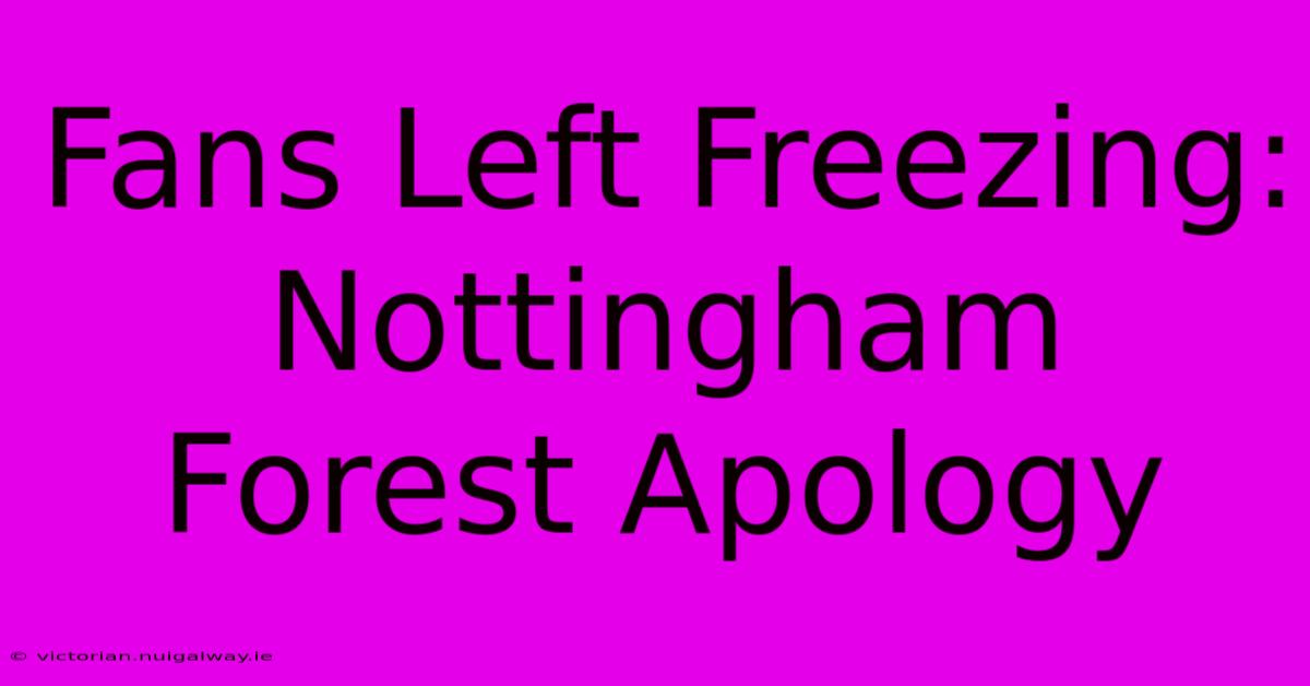 Fans Left Freezing: Nottingham Forest Apology