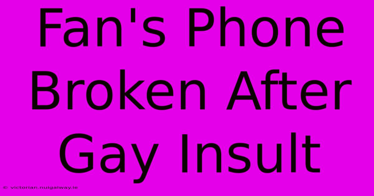 Fan's Phone Broken After Gay Insult