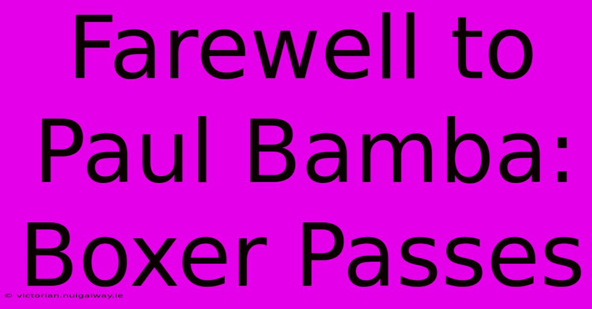 Farewell To Paul Bamba: Boxer Passes