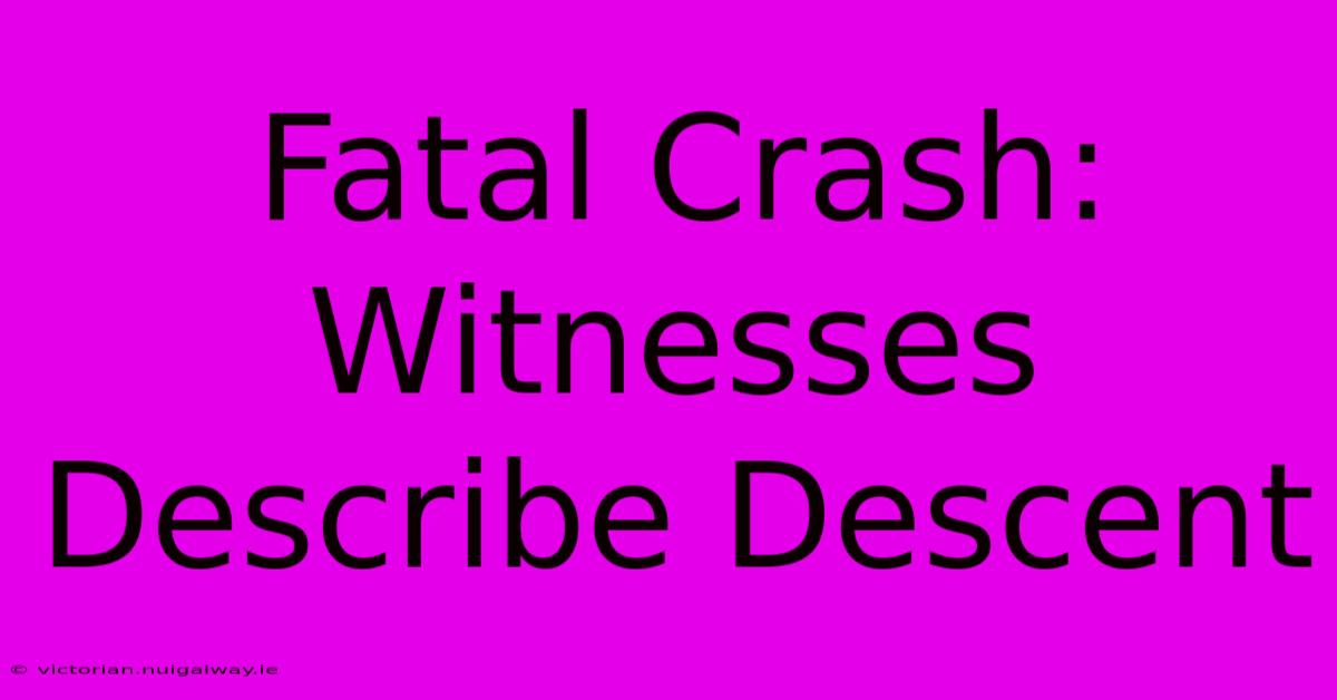 Fatal Crash: Witnesses Describe Descent