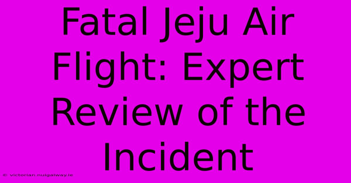 Fatal Jeju Air Flight: Expert Review Of The Incident