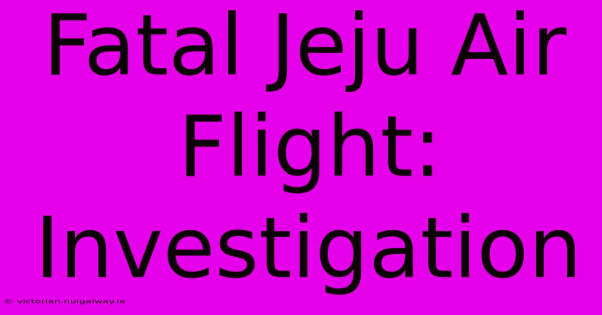 Fatal Jeju Air Flight: Investigation