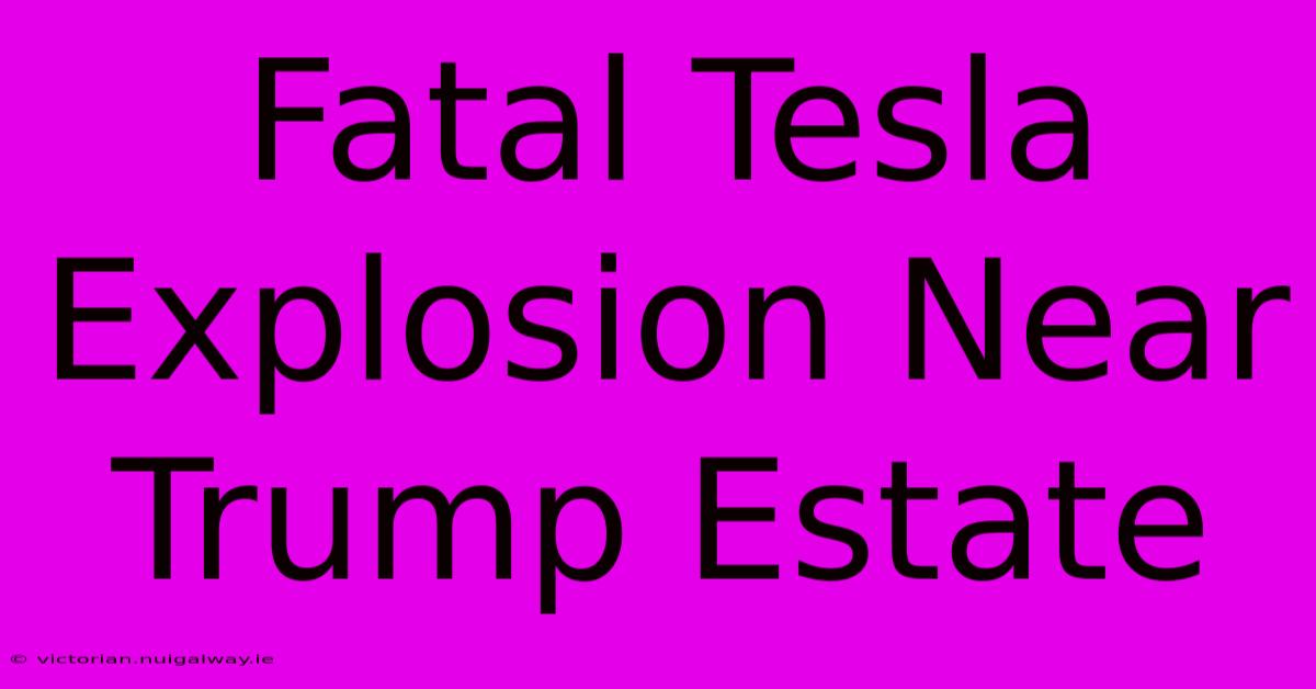 Fatal Tesla Explosion Near Trump Estate