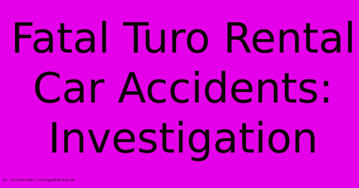 Fatal Turo Rental Car Accidents: Investigation