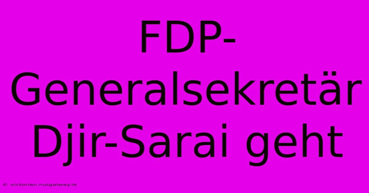 FDP-Generalsekretär Djir-Sarai Geht