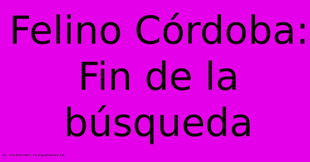 Felino Córdoba: Fin De La Búsqueda