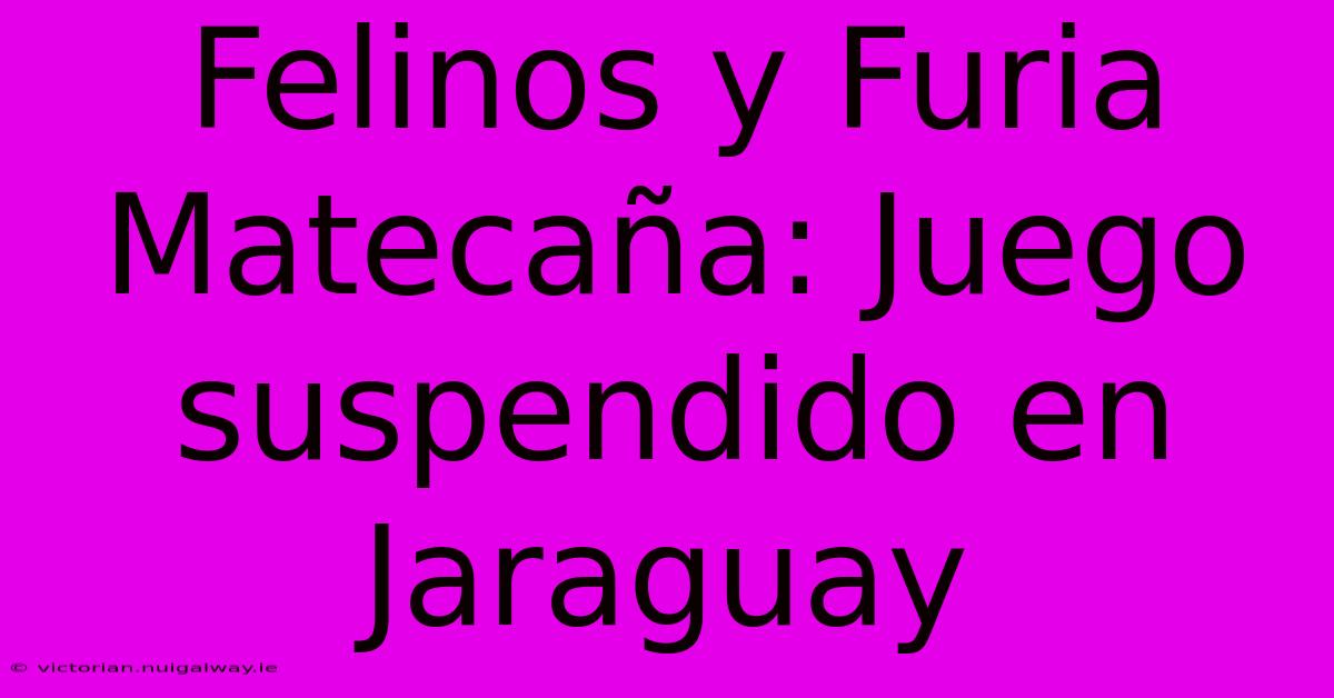 Felinos Y Furia Matecaña: Juego Suspendido En Jaraguay