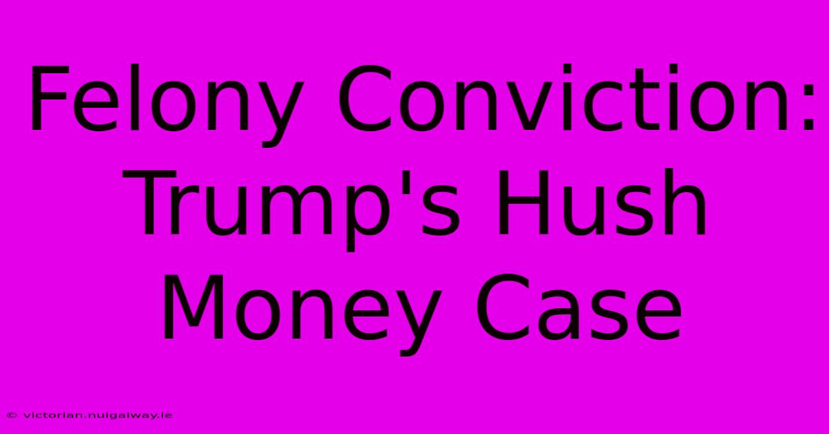 Felony Conviction: Trump's Hush Money Case