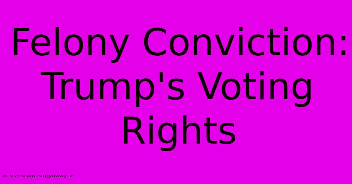 Felony Conviction: Trump's Voting Rights