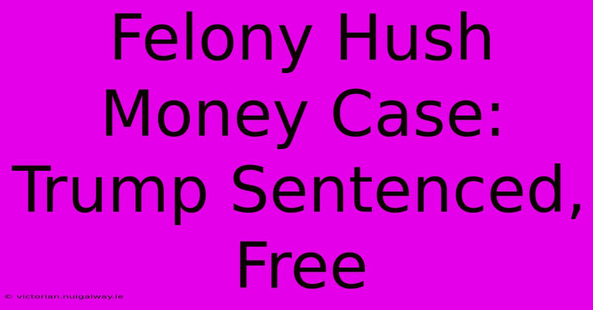 Felony Hush Money Case: Trump Sentenced, Free