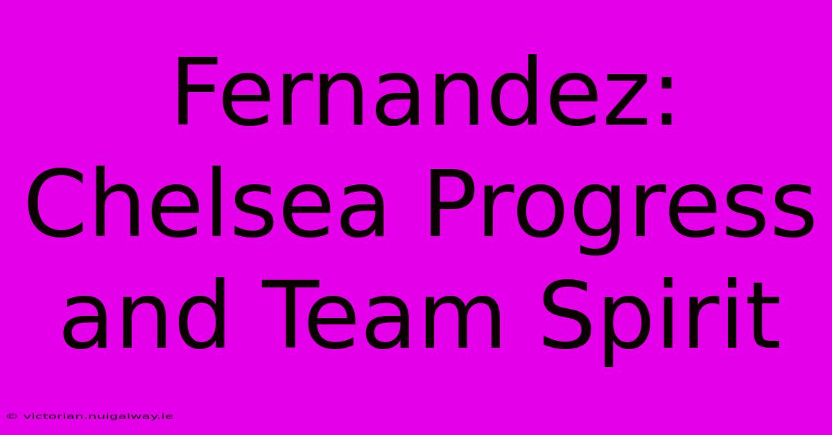 Fernandez: Chelsea Progress And Team Spirit