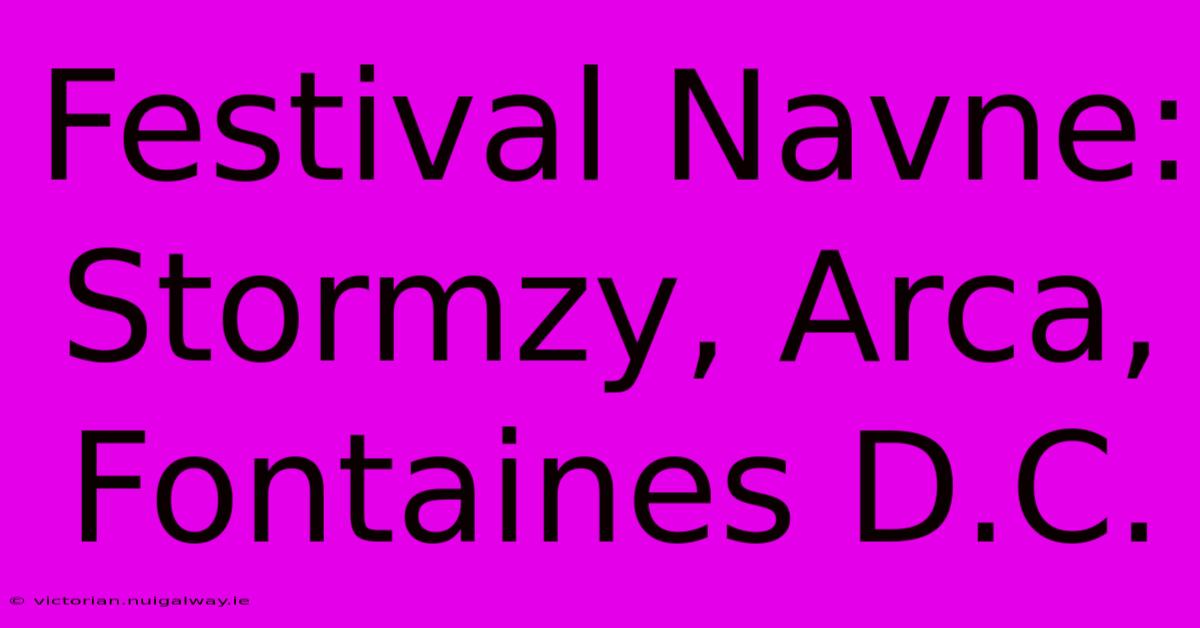 Festival Navne: Stormzy, Arca, Fontaines D.C.