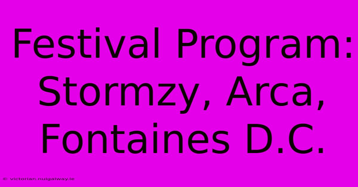 Festival Program: Stormzy, Arca, Fontaines D.C. 