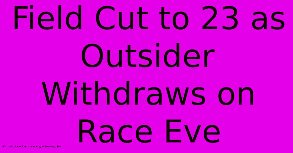 Field Cut To 23 As Outsider Withdraws On Race Eve