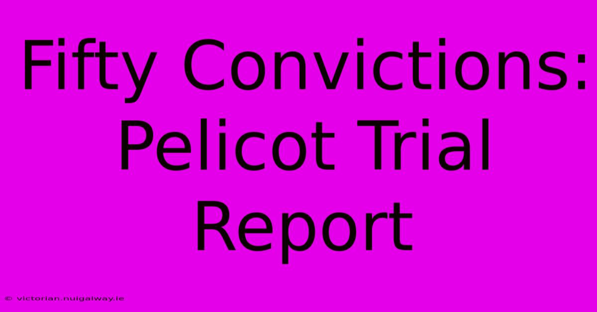 Fifty Convictions: Pelicot Trial Report