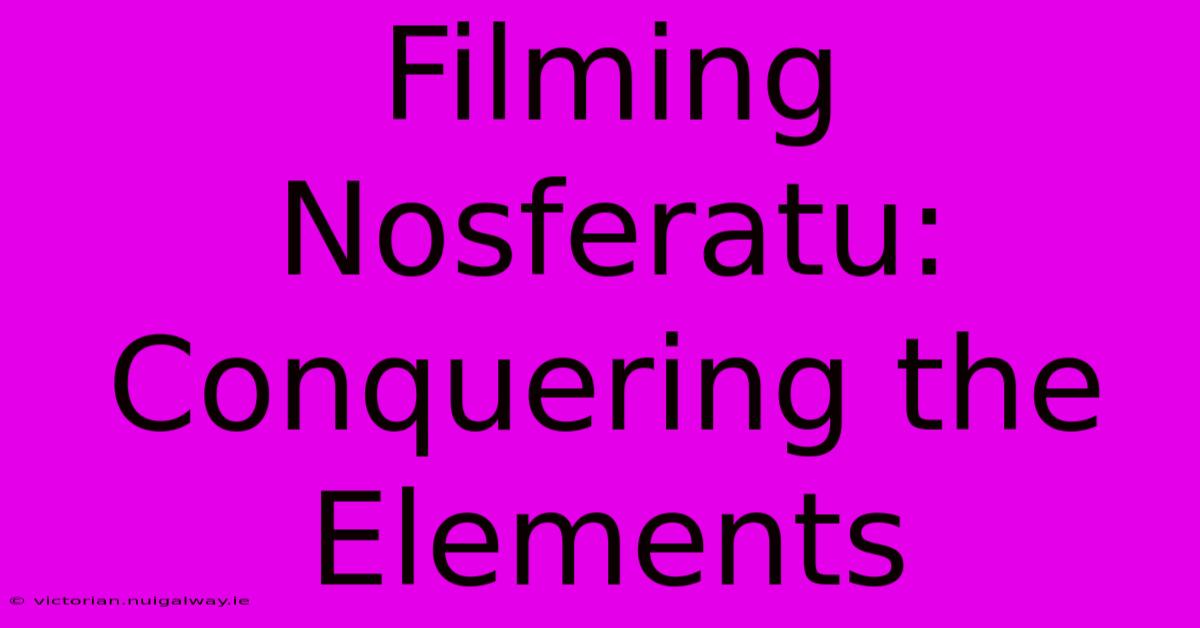 Filming Nosferatu: Conquering The Elements