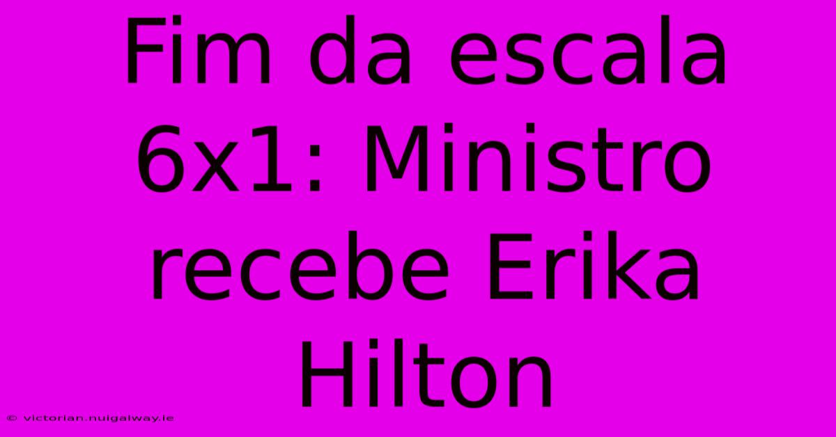 Fim Da Escala 6x1: Ministro Recebe Erika Hilton